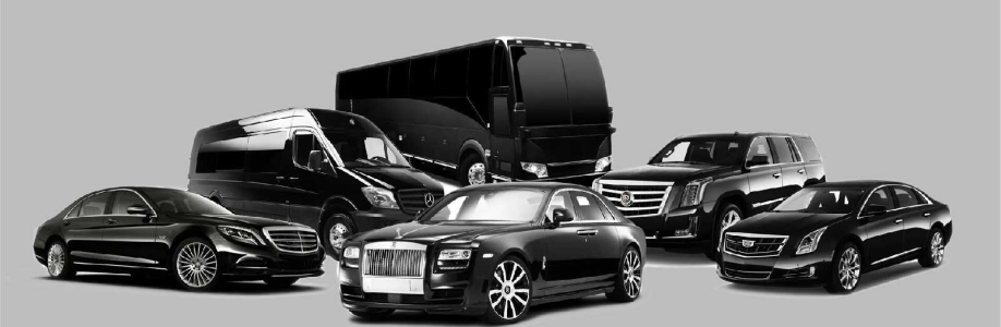 Union Limousine Cover Image