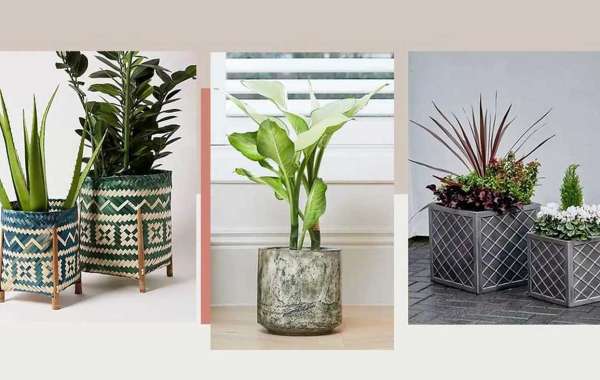 Elevate Your Garden Aesthetics with Homebase Planter Innovations