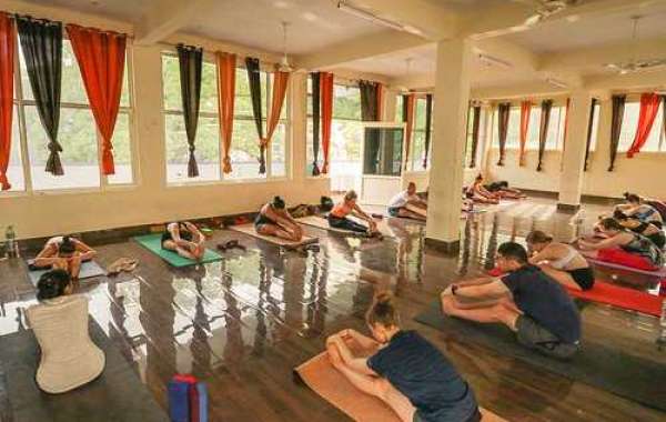 yoga school in Rishikesh