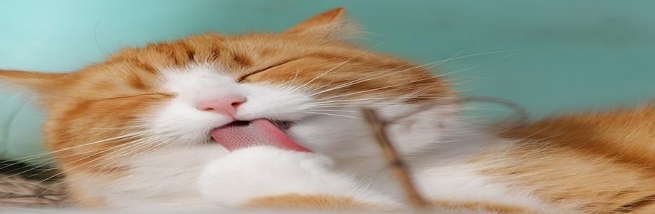 meowmates Cover Image