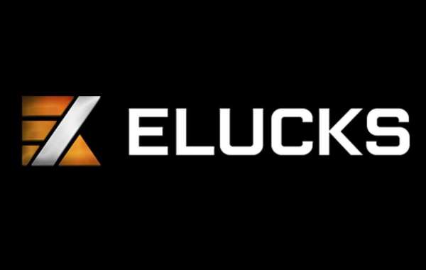 Innovate and Elevate - Elucks and the New Frontier of Digital Currencies in India