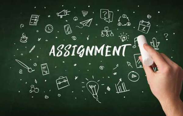 Why Business Finance Assignment Help is Essential for Your Success