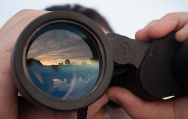 Hunting Optics Showdown: Binoculars vs. Spotting Scopes