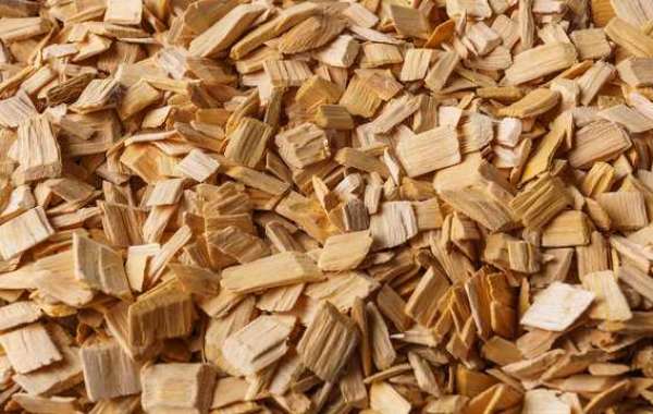Wood Pulp Market Growth, Size, Demand, Forecast 2024-2032