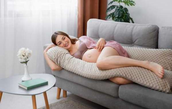 Discover Your Best Pregnancy Comfort with the Top Maternity Pillows from SleepyBelly