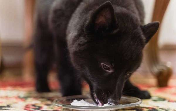 Delicious and Nutritious: Can Dogs Eat Cottage Cheese?