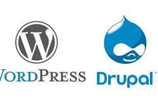 "Battle of the CMS Titans: Unveiling Reddit's Opinions on WordPress and Drupal"