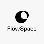 Flow FlowSpace Profile Picture