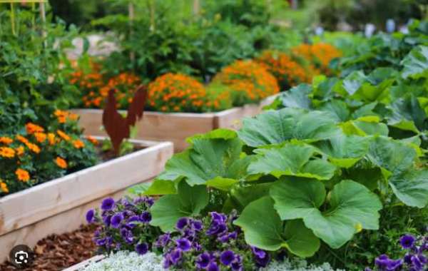 Indoor Gardening 101: A Guide to Greening Your Living Space