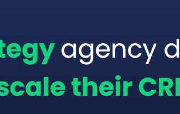Leading CRM Strategy agency  dedicated to helping companies scale  their CRM investment