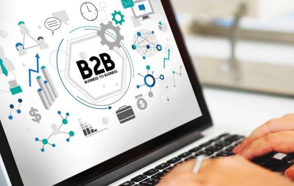 The Vital Role Of B2B Ecommerce Development Company In E-commerce Business Success