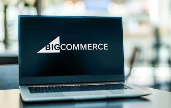 Stay Ahead of the Curve: Future-Proofing Your BigCommerce Store with SEO Mastery