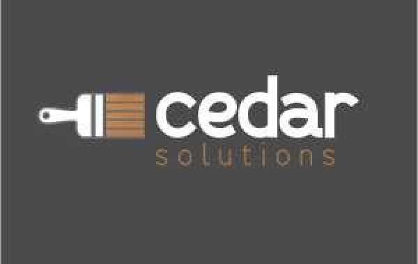 Cedar Cladding Maintenance: How to Achieve Stunning Results by Staining Cedar Dark 