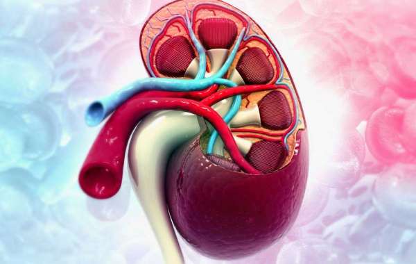 Renal Biomarkers Emerging Tools for Early Kidney Disease Detection and Management