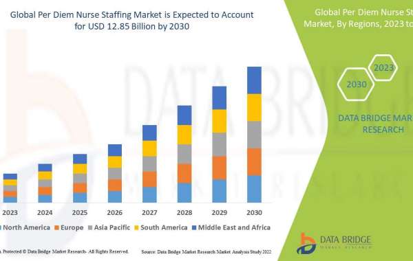 Per Diem Nurse Staffing Market Size, Share, Trends, Industry Growth and Competitive Analysis