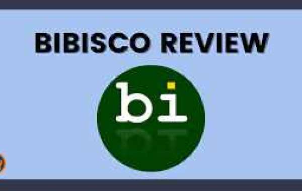 best novel writer software | bibisco