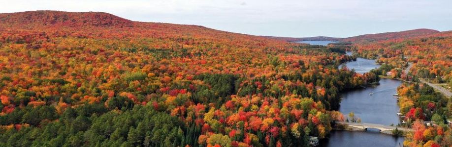 Camp Chateaugay Cover Image