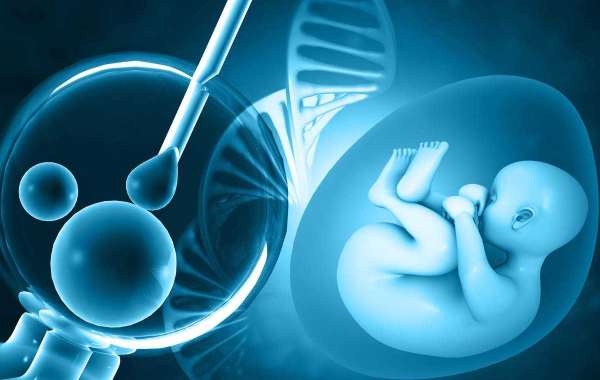 In Vitro Fertilization Services Market Manufacturers, Research Methodology, Competitive Landscape and Business