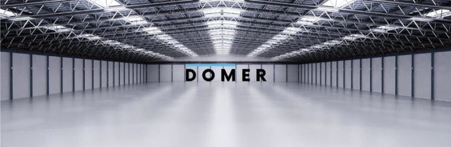 Domer Industrial Limited Cover Image