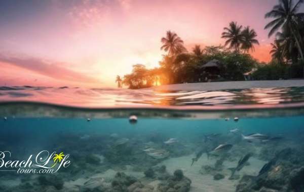 Explore Maldives Local Islands: Scuba Diving and Maafushi Tour Packages with BeachLife Tours