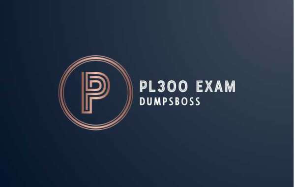 PL300 Exam Success Unleashed: Top Preparation Tips