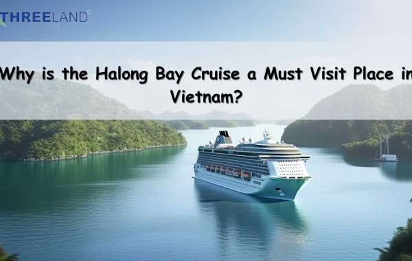 Why is the Halong Bay Cruise a Must Visit Place in Vietnam?