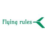 flyingrule Profile Picture