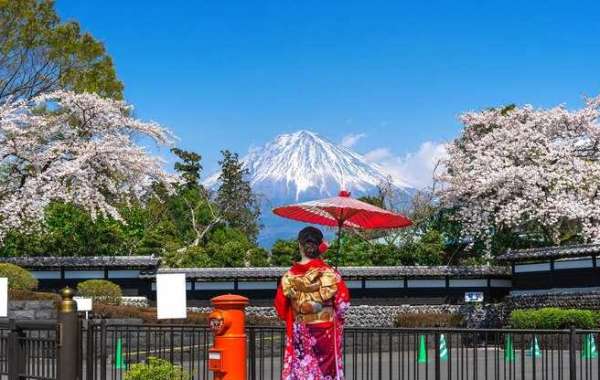 Mt. Fuji Day Trip Adventure: Experience the Magnificence of Japan's Tallest Mountain in a Single Day