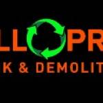 All Pro Junk & Demolition Profile Picture