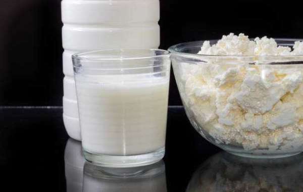 Fermented Milk Products Market Share, Segmentation of Top Companies, and Forecast 2030