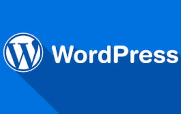 Custom WordPress Development Company USA