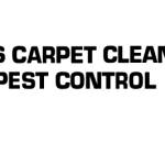 Dinno's Carpet Cleaning & Pest Control Profile Picture