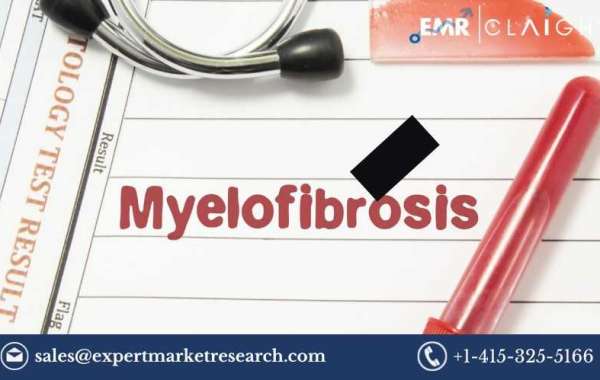 Secondary Myelofibrosis Therapeutics Market Size, Share, Price, Trends, Growth, Analysis, Report and Forecast 2024-2032