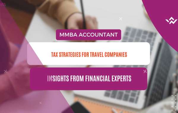 Tax Strategies for Travel Companies:Insights from Financial Experts