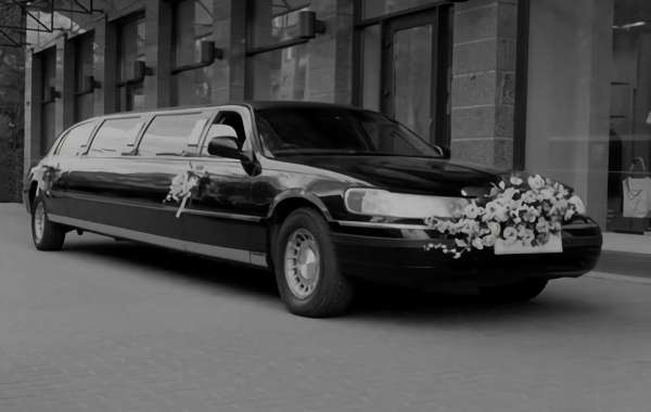 Seamless Event and Wedding Transportation in Tampa with Tampa Airport Transportation