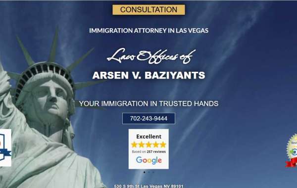 Immigration lawyer