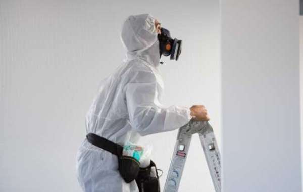 Common FAQs About Asbestos Testing Answered