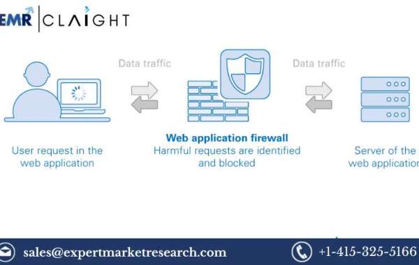 Securing Cyberspace: Exploring the Web Application Firewall Market