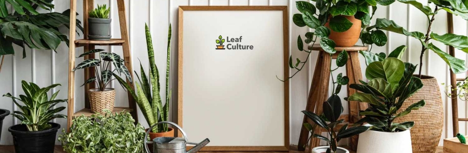 Leaf Culture Cover Image