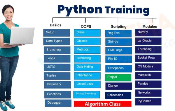 Python Training Institute in Mumbai for Professionals | WebAsha Technologies