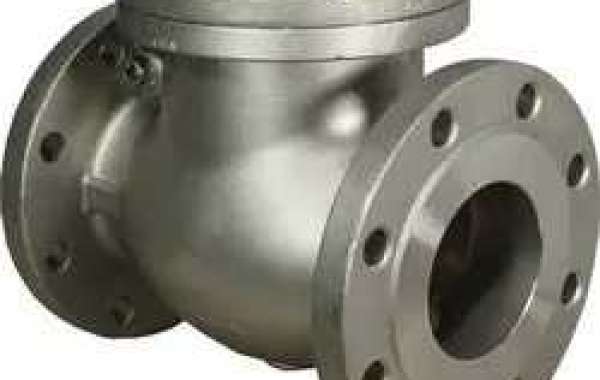 Alloy 20 Swing Check Valve Manufacturer In India