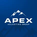 Apex Group Profile Picture