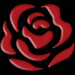 pinch rose Profile Picture