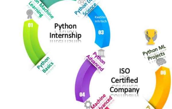 python internship