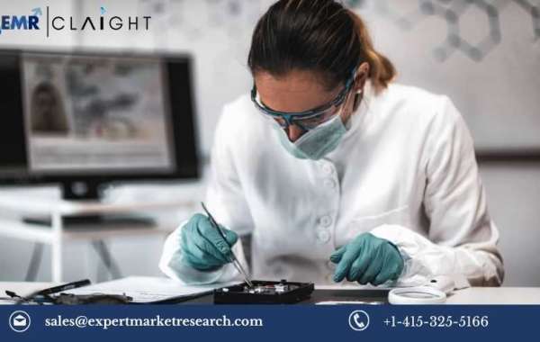 Forensic Technology Market Growth, Size, Share, Trends, Report 2024-2032