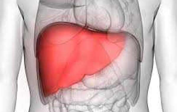 Navigating Liver Health: The Role of the Best Liver Specialist
