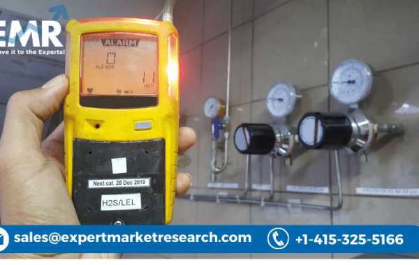 Empowerment Through Safety: Gas Detectors Market Analysis