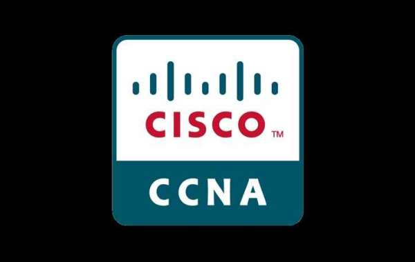 Top CCNA Training Institute in Gurgaon for Networking