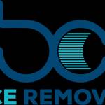BC Lice removal Profile Picture
