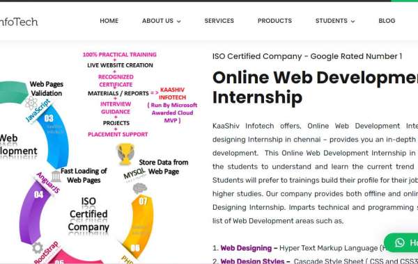 online web development internship